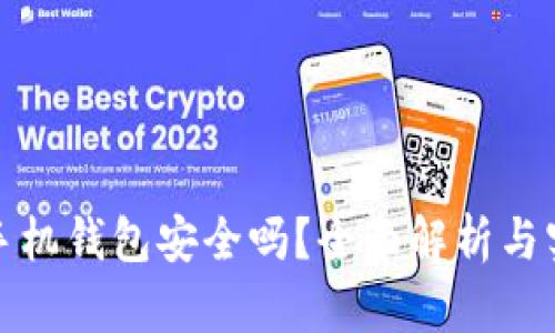 比特币手机钱包安全吗？全面解析与实用建议