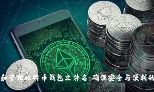 如何选择和管理比特币钱包文件名：确保安全与便利的实用指南
