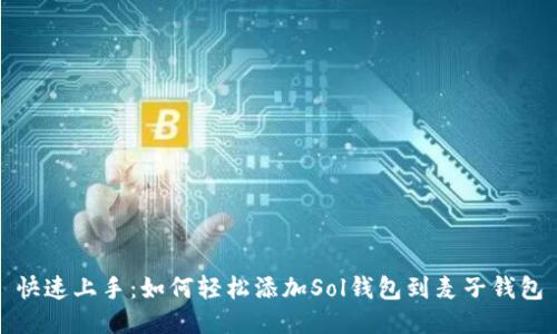 快速上手：如何轻松添加Sol钱包到麦子钱包