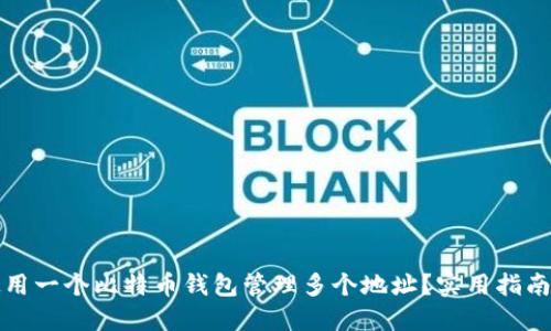 如何使用一个比特币钱包管理多个地址？实用指南与技巧