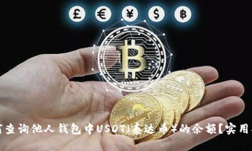 如何查询他人钱包中USDT（泰达币）的余额？实用指南