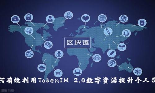 如何有效利用TokenIM 2.0数字资源提升个人价值
