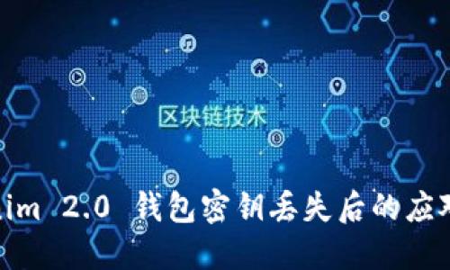 Tokenim 2.0 钱包密钥丢失后的应对策略