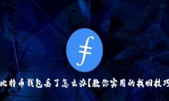 比特币钱包丢了怎么办？教你实用的找回技巧