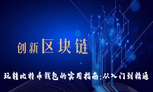 玩转比特币钱包的实用指南：从入门到精通