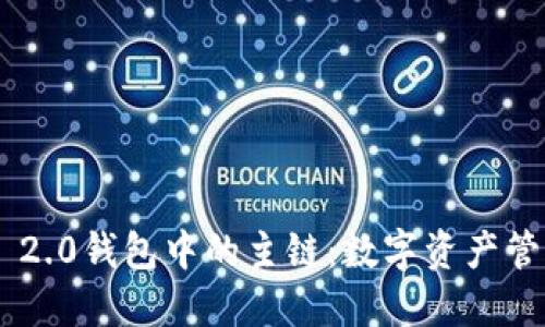 探索Tokenim 2.0钱包中的主链：数字资产管理的未来之路