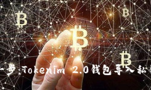 轻松一步：Tokenim 2.0钱包导入私钥指南