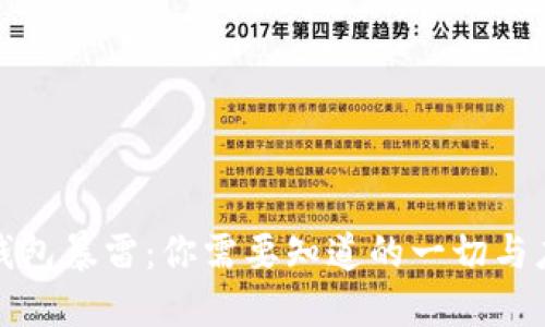 比特币钱包暴雷：你需要知道的一切与应对策略