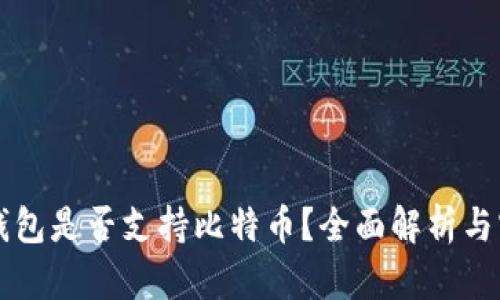 以太坊钱包是否支持比特币？全面解析与实用指南