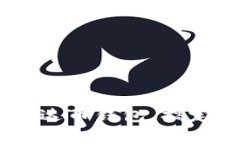 轻松掌握京东USDT泰达币钱