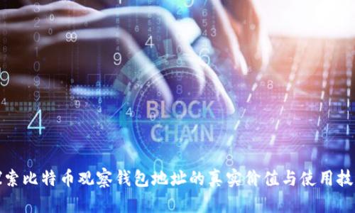 探索比特币观察钱包地址的真实价值与使用技巧