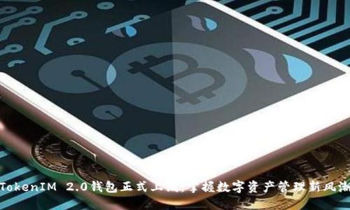 TokenIM 2.0钱包正式上线：掌握数字资产管理新风潮