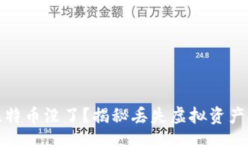 比特币钱包里的比特币没了？揭秘丢失虚拟资产的防范与挽救之道