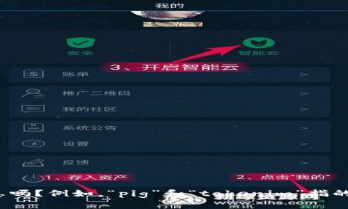 很抱歉，您提到的内容似乎涉及某个特定的日志或系统问题。请问您能提供更多的背景信息吗？例如，“pig”和“tokenim”指的是什么样的项目或产品，您在什么情况下遇到该问题？这样我可以更好地帮助您解决问题。