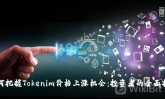 如何把握Tokenim价格上涨机