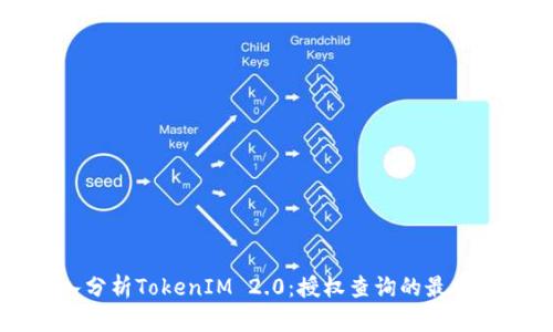 深入分析TokenIM 2.0：授权查询的最佳实践