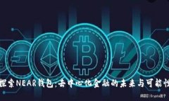 探索NEAR钱包：去中心化金融的未来与可能性