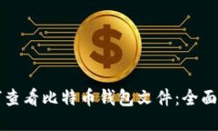 如何查看比特币钱包文件：全面指南