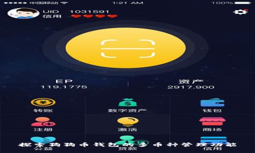 探索狗狗币钱包的多币种管理功能