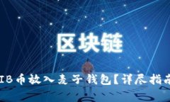 ### 如何将SHIB币放入麦子钱包？详尽指南与常见问