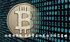  比特币钱包：木马背后的