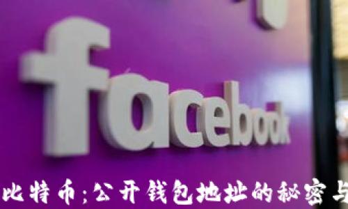 
解密比特币：公开钱包地址的秘密与应用