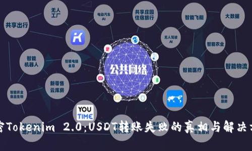 解密Tokenim 2.0：USDT转账失败的真相与解决方案