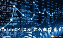 ### 探秘TokenIM 2.0：你的数字资产安全护航者