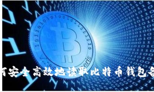 如何安全高效地读取比特币钱包备份
