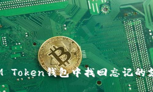 如何在IM Token钱包中找回忘记的支付密码？
