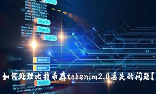 如何处理比特币存tokenim2.0丢失的问题？