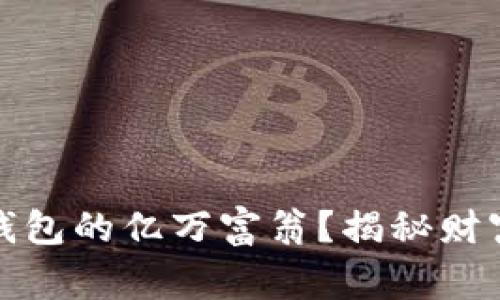 谁是比特币钱包的亿万富翁？揭秘财富背后的故事