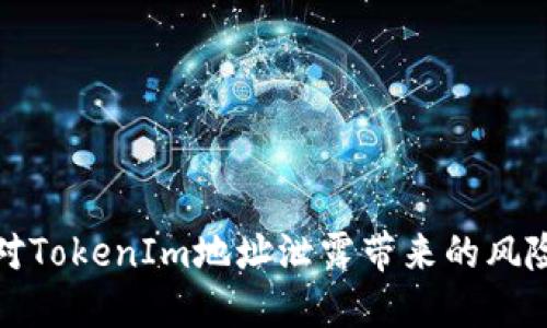 如何应对TokenIm地址泄露带来的风险与挑战